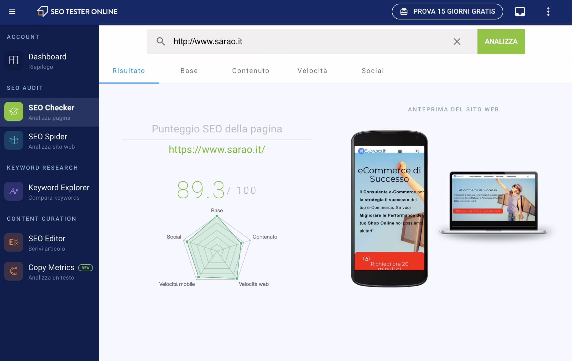 analisi ecommerce con seotesteronline